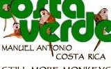 Costa Verde